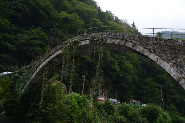 Historical Ottoman Bridge Taskopru Senyuva Firtina River Camlihemsin Rize Province — Stock Photo, Image