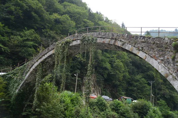 Pont Ottoman Historique Taskopru Senyuva Sur Rivière Firtina Près Camlihemsin — Photo