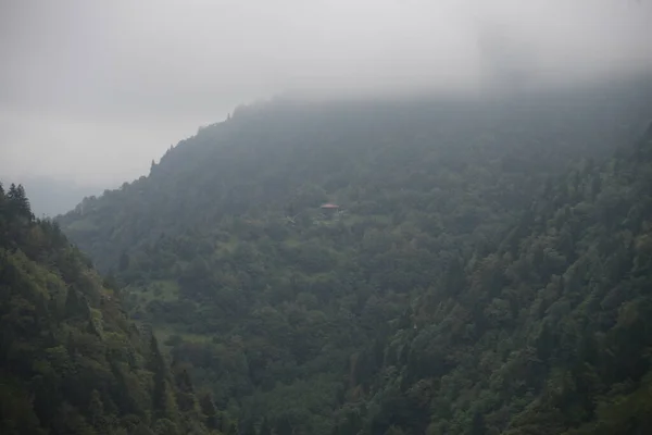 Nebelschwaden Auf Burg Zilkale Camlihemsin Rize Türkei — Stockfoto