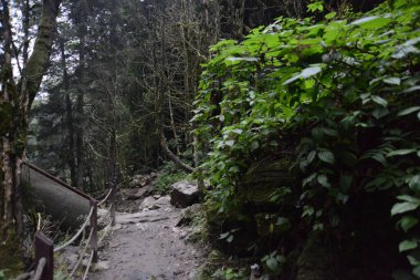 Kakar Dağları 'ndaki Palovit Şelalesi, Rize' nin en yüksek şelalelerinden biridir. Bu yemyeşil ormandaki ünlü şelale yaklaşık 15 metre yüksekliğindedir ve bir dere yatağına köpük dökülür..