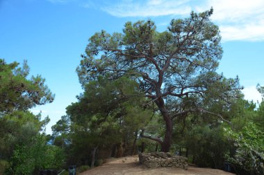 Güneşli bir günde Ege Adatepe 'nin tarihi tipik köyü Kucukkuyu, Canakkale
