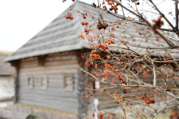 Typical Cossack House Interior Wooden Building Zaporozhye Sich Ukraine Medieval — Stock Photo, Image