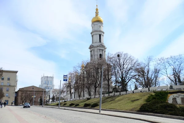 Kharkiv Ukraine 2019年3月29日 ウクライナのハリコフ大聖堂 青い曇り空と葉のない黒い木のシルエットの冬の日 黄金のドーム上の地面からの眺め — ストック写真