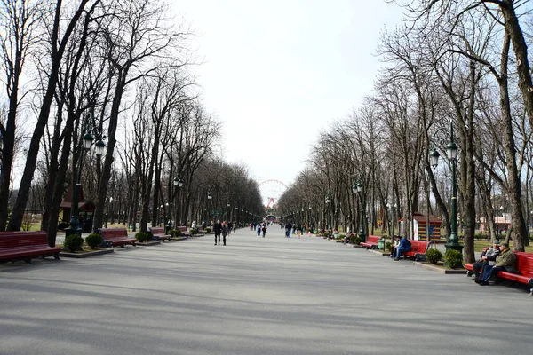 Ukraine Kharkiv März 2019 Eingang Zum Gorki Central Park Für — Stockfoto