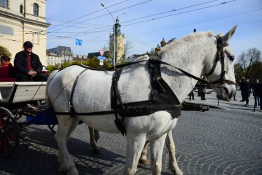 LVIV, UKRAINE - 17 Nisan 2019: Tarihi şehir merkezindeki yolcular için turist vagonu bekliyor. Lviv tarihi şehir merkezi UNESCO Dünya Mirasları Listesinde yer alıyor