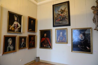 LVIV, UKRAINE - 17 Nisan 2019: 18 Haziran 2017 'de Lviv, Ukrayna' da Potocki Sarayı 'nın iç cephesi. 2000 'lerde Ukrayna Başkanı sarayı konutlarından biri olarak tahsis etti.