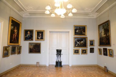 LVIV, UKRAINE - 17 Nisan 2019: 18 Haziran 2017 'de Lviv, Ukrayna' da Potocki Sarayı 'nın iç cephesi. 2000 'lerde Ukrayna Başkanı sarayı konutlarından biri olarak tahsis etti.