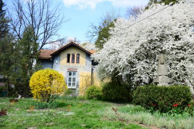 LVIV, UKRAINE - 17 Nisan 2019: Ukrayna 'nın Ukrayna' nın başkenti High Castle Hill 'in tepesinde güneşli yaz gününde turistler. Lviv şehri Yüksek Castle Tepesi 'nden görüldü