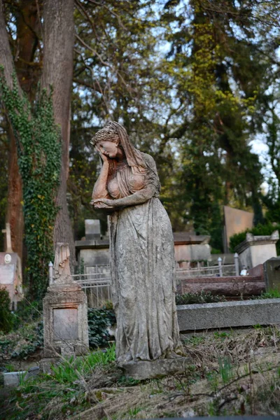 Lviv Ucraina Aprile 2019 Tombe Sculture Uniche Sul Cimitero Famoso — Foto Stock