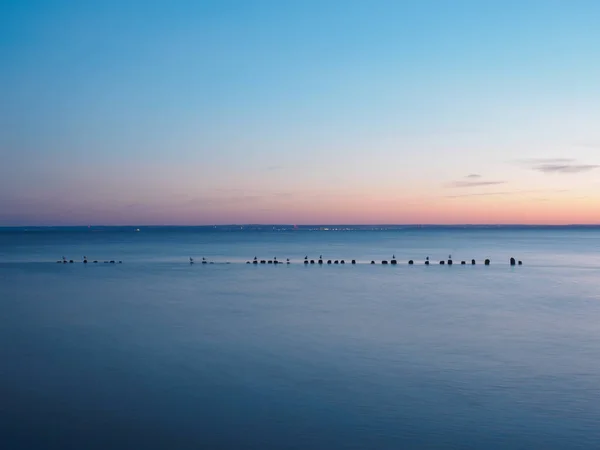 View Baltic Sea Beach Hel Peninsula Summer — Stock Photo, Image