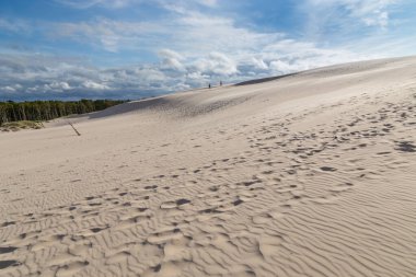 Yazın Slowinski Ulusal Parkı 'ndaki kum tepelerinin manzarası