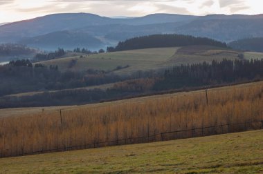 Sakin kırsal alanlarda sisli bir sabah manzarası ve uzak evler. Sakin bir kır manzarası sisli bir sabahı tarlalarda yuvarlanırken yakalıyor. Uzaktan bakan evler sislerin arasından sakin ve huzurlu bir atmosfer yaratıyor.. 