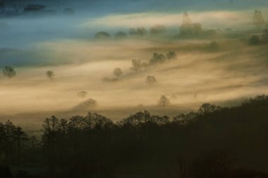Sakin kırsal alanlarda sisli bir sabah manzarası ve uzak evler. Sakin bir kır manzarası sisli bir sabahı tarlalarda yuvarlanırken yakalıyor. Uzaktan bakan evler sislerin arasından sakin ve huzurlu bir atmosfer yaratıyor.. 