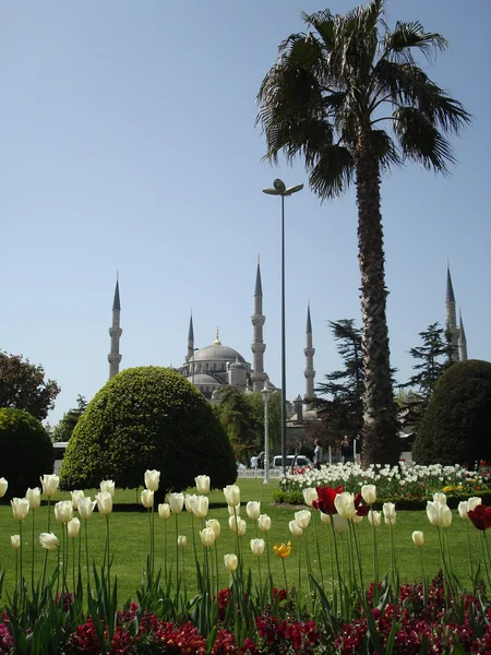 De Sultan Ahmet moskee landschap. Istanbul - Turkije — Stockfoto