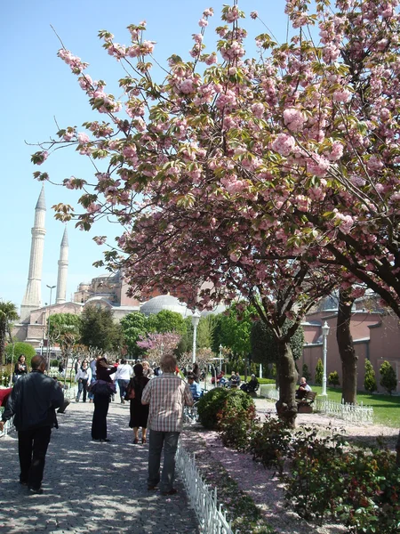 Spring Landscape Istanbul — Stock Photo, Image