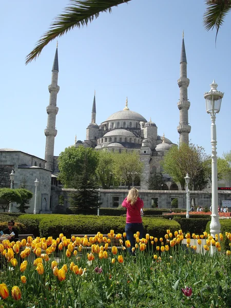 Οθωμανικές Τουλίπες Και Τζαμί Sultanahmet — Φωτογραφία Αρχείου