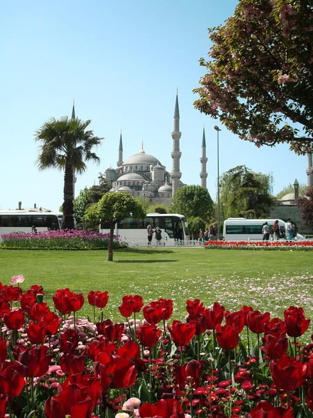 Mezquita Del Sultán Ahmet Paisaje Estambul Turquía —  Fotos de Stock