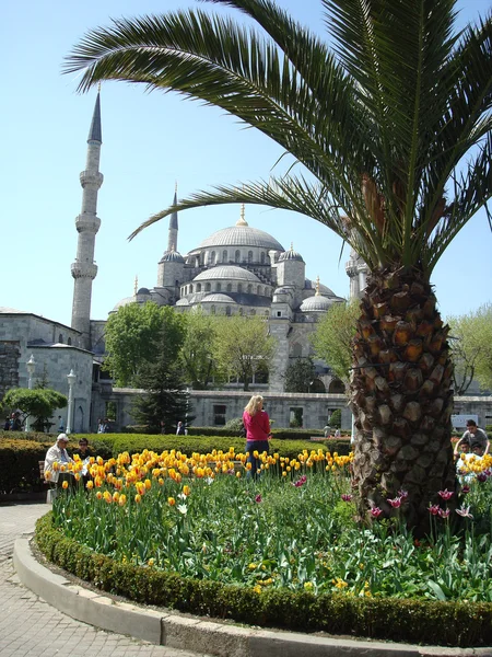 Le sultan Ahmet Mosquée Paysage Le istanbul La Turquie — Photo