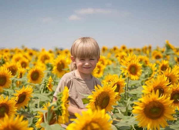 Ένα Χαρούμενο Αγόρι Ξανθά Μαλλιά Στέκεται Ένα Χωράφι Ηλιοτρόπια — Φωτογραφία Αρχείου