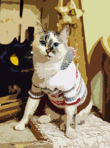 Illustration White cat wearing a knitting sweater — Stock Photo, Image