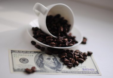 Kahve çekirdekleri ile kaplı dolarlar.