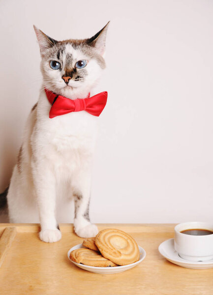 Симпатичный белый голубоглазый кот в красном галстуке из банта стоит за столом с чашкой кофе и кулинарными изделиями.