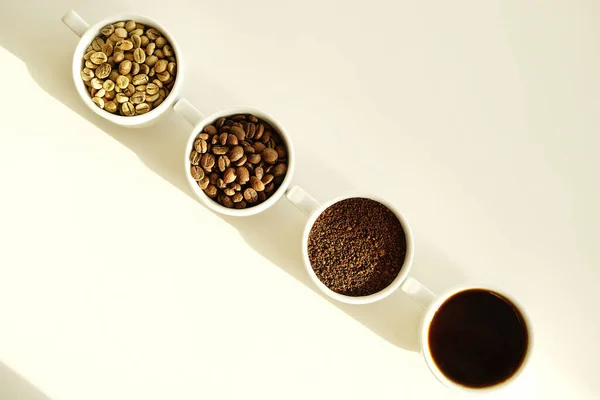 Four stages: raw green, roasted, ground and brewed coffee. Specialty third wave coffee concept. White background.