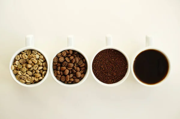 Four stages: raw green, roasted, ground and brewed coffee. Specialty third wave coffee culture concept. White background.