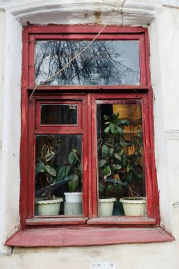 Çiçek saksılarıyla kaplı eski bir evin sevimli penceresi. Caddenin dışından.