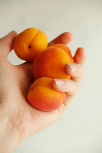 Handful of apricots in hand on white background, close-up — Stock Photo, Image