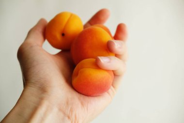 Beyaz arka planda bir avuç dolusu kayısı, yakın plan.