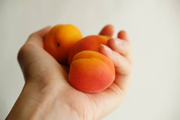 Eine Handvoll Aprikosen in der Hand auf weißem Hintergrund, Nahaufnahme — Stockfoto