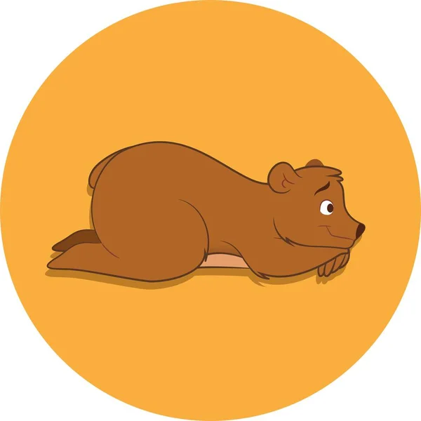 Şirin bir boz ayı. Sevimli bir bebek ayı.