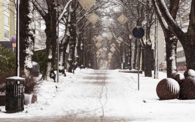 Finlandiya'daki kış manzarası.