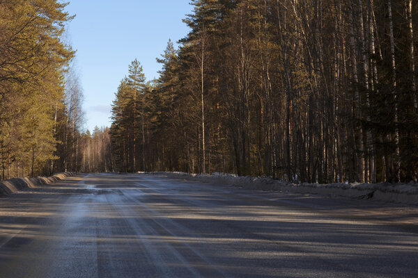 Весенний пейзаж леса
.