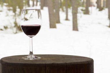 Cam kadehi ağaçlar bir arka plan üzerinde kırmızı şarap. 