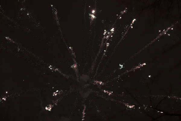 Feuerwerk am Nachthimmel. — Stockfoto