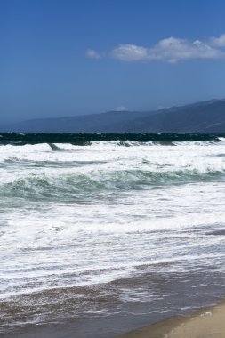 Pasifik Okyanusu, plaj manzara dalgaları. 