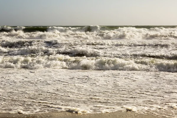 The waves of the Pacific ocean, the beach landscape. Royalty Free Stock Photos