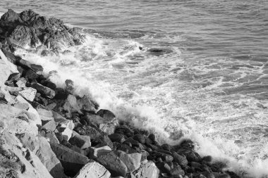 Pasifik Okyanusu, plaj manzara dalgaları. 