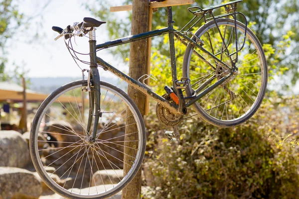 森の中の木製の柱に掛かっている自転車. — ストック写真