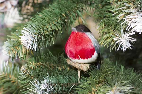 Птица на ветке дерева сидит бульфинч . — стоковое фото