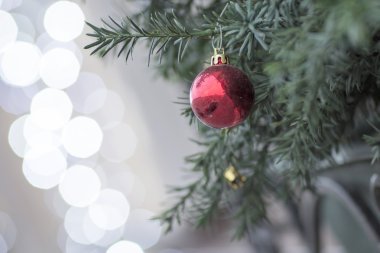 oyuncaklar ile süslenmiş Noel ağacı.