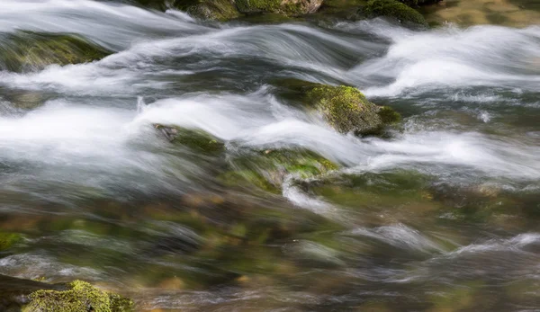 Abhazya, manzara nehirde dağ.