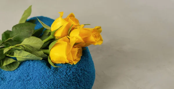 Gri arka planda üç sarı gül ve mavi kırsal havlu. Spa konsepti, aromaterapi, vücut bakımı