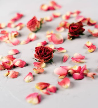 Gri arka planda küçük kurumuş gül çiçekleri