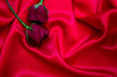 Kırmızı bir bezde kırmızı güller