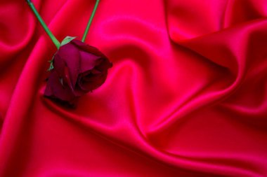 Kırmızı bir bezde kırmızı güller