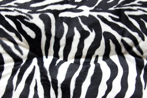 Zebra texture with beige white and black