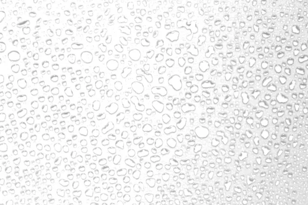 Abstrato Gotas Água Fundo Isolado Com Fundo Branco — Fotografia de Stock